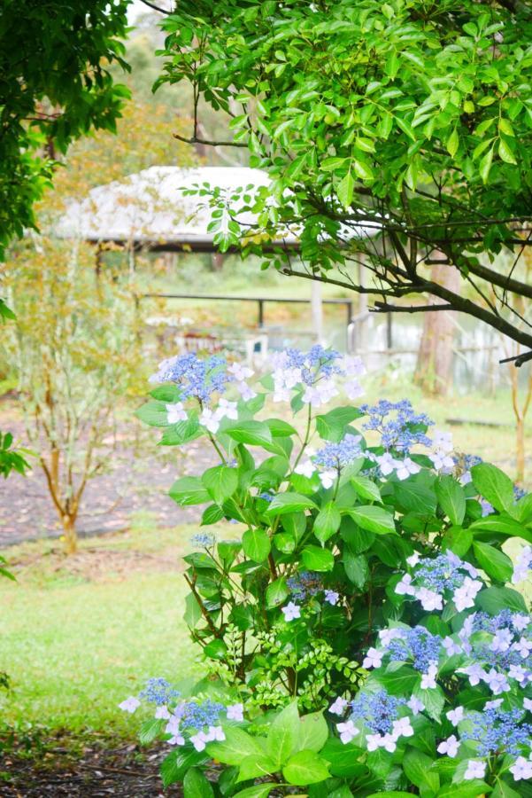 True North - 4Br Home & Garden In Bush Setting With Huge Bath Bilpin Eksteriør bilde